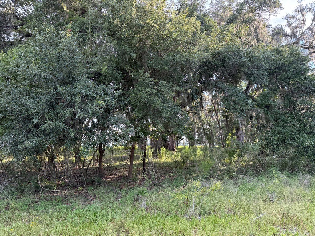 Picture 48