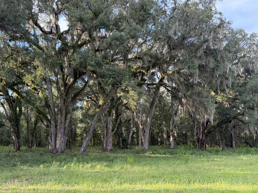 Picture 34