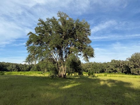 Natural Land Tract