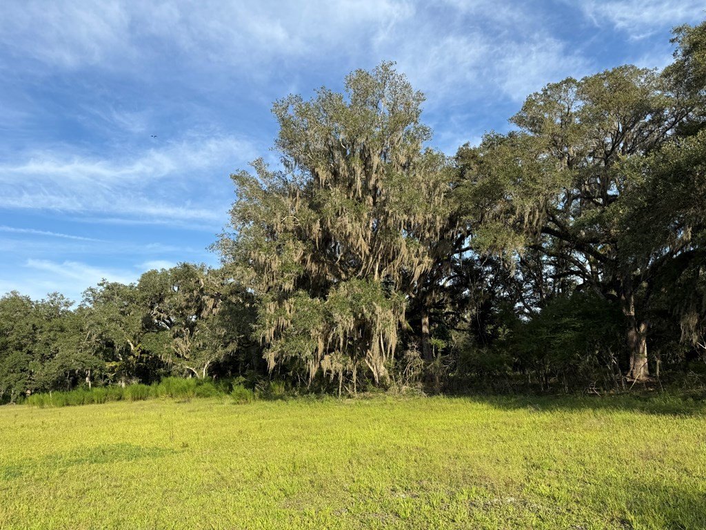 Picture 47