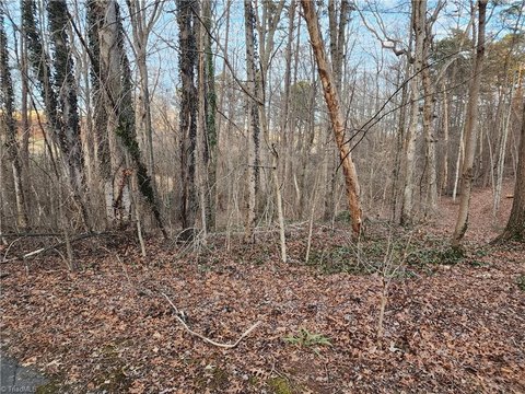 LAND - Mount Airy, NC