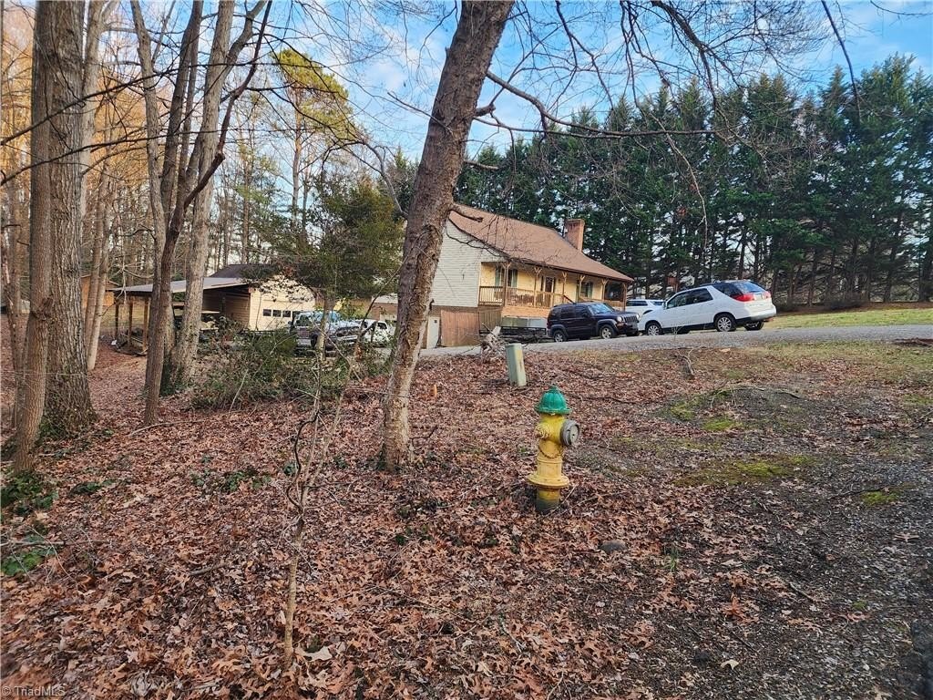 Picture 5
