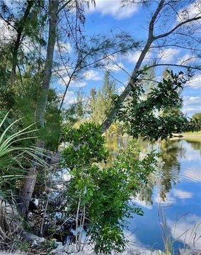 Land, CAPE CORAL, FL