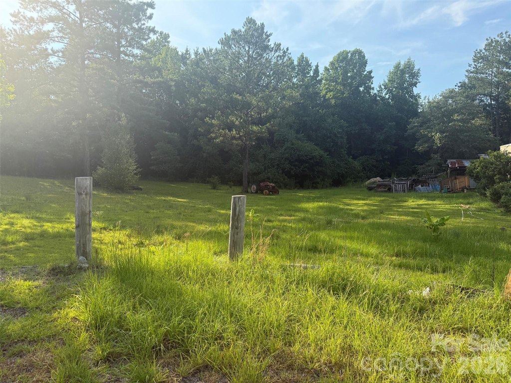 Picture 4
