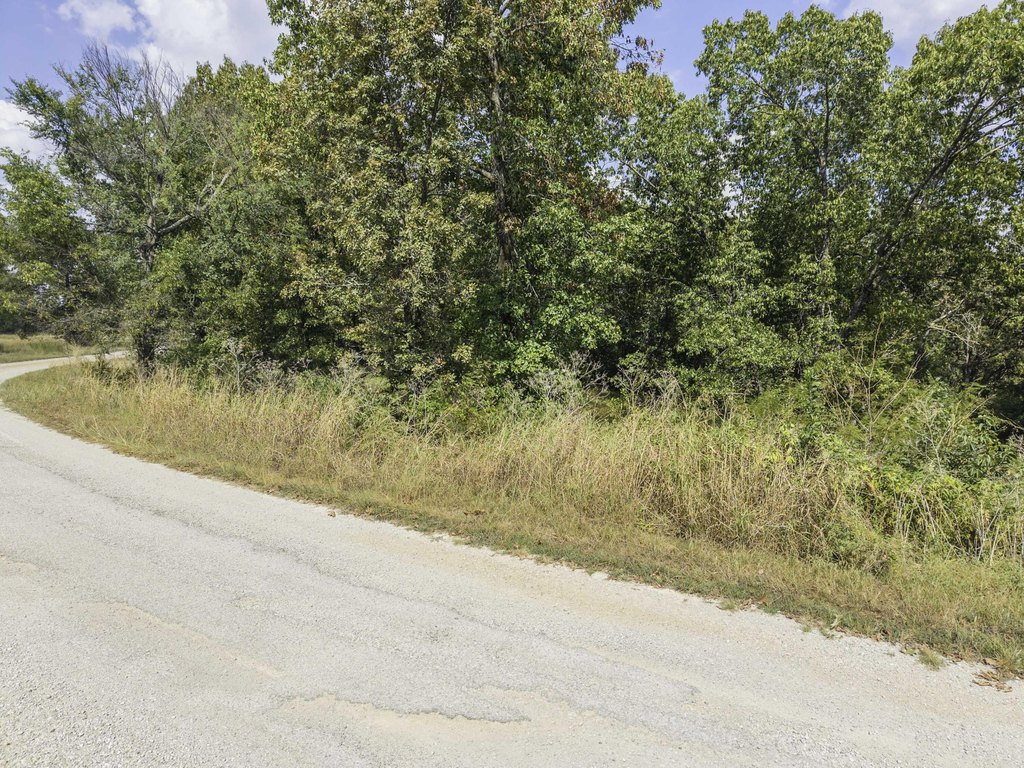 Picture 25