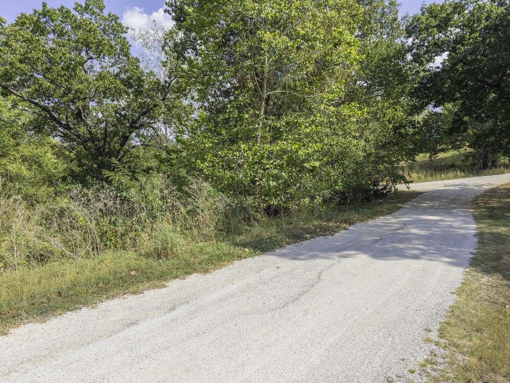 Picture 24
