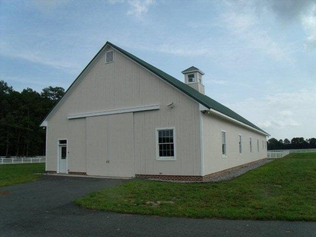 Picture 8