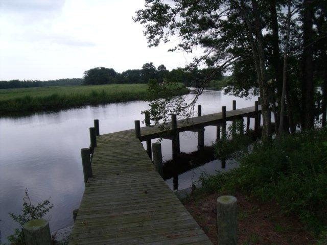 Picture 15
