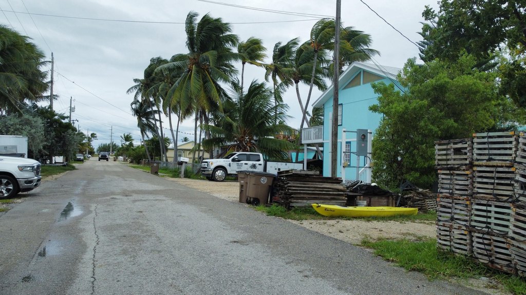 Picture 16