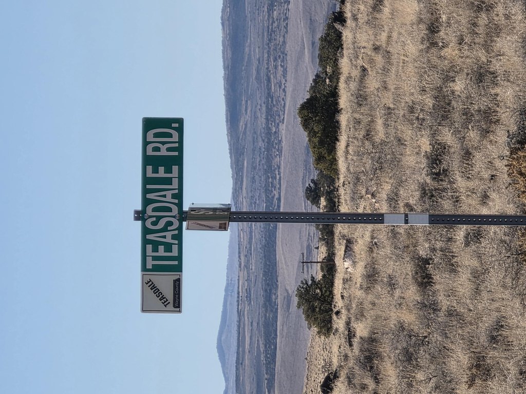 Picture 36