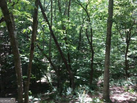 LAND - Ball Ground, GA