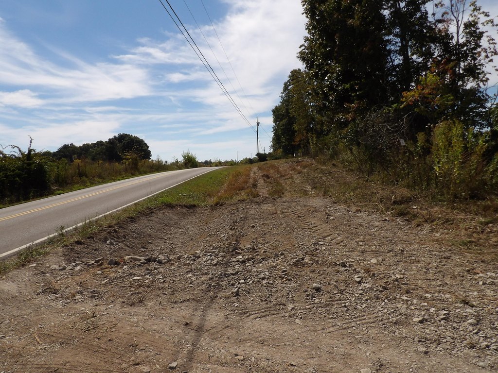 Picture 25