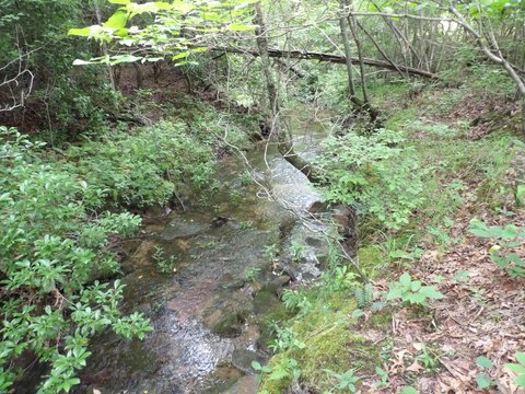 Land, Evensville, TN