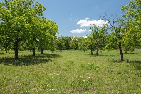 Fredericksburg Land with Hill Country Views