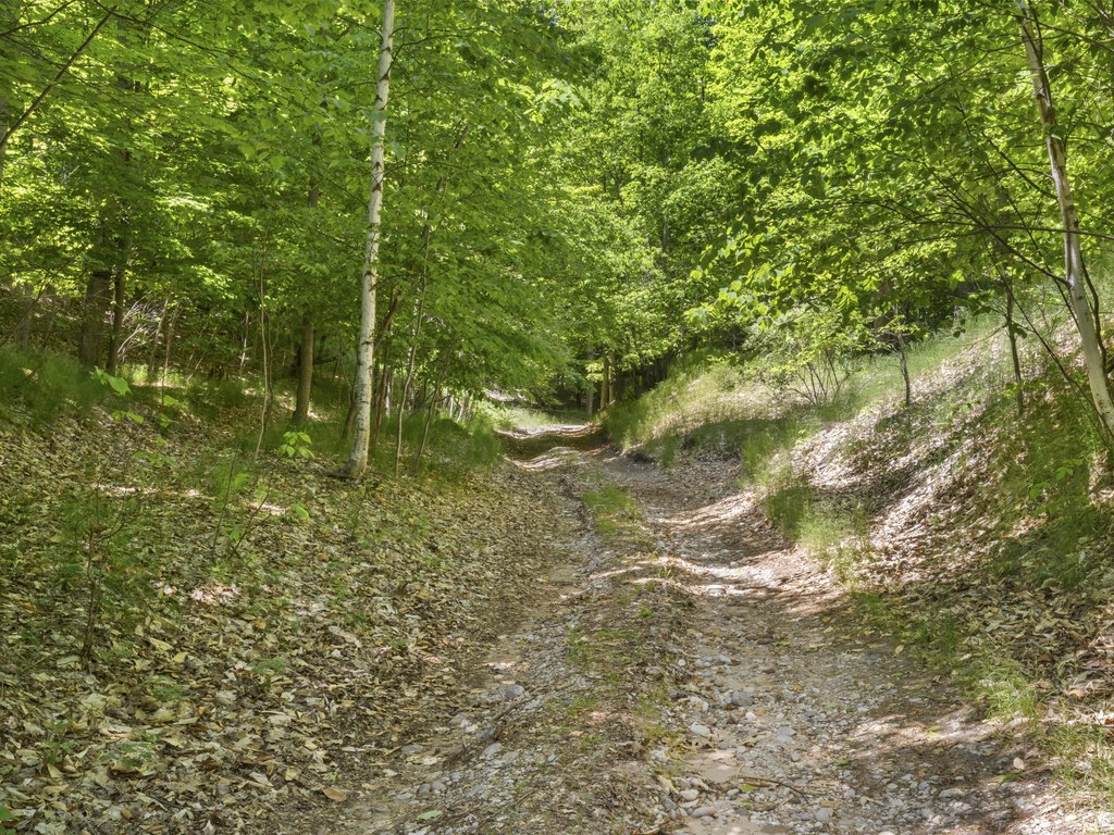 Picture 13
