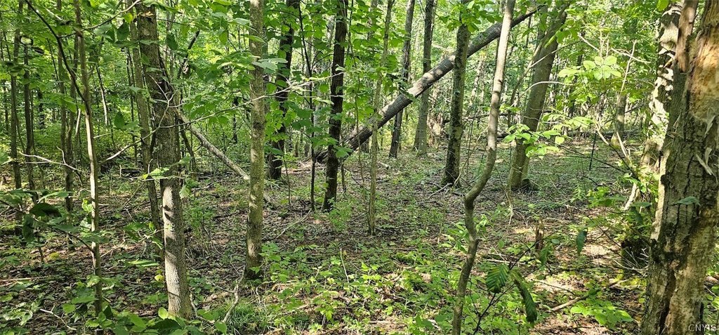 Picture 11
