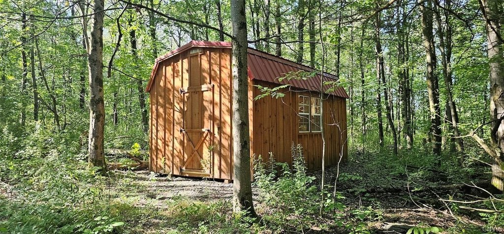 Picture 8