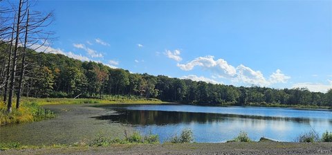 Land, Richford, NY