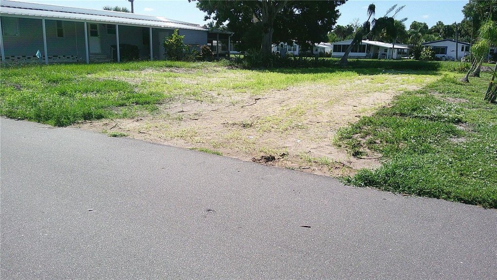 Picture 6