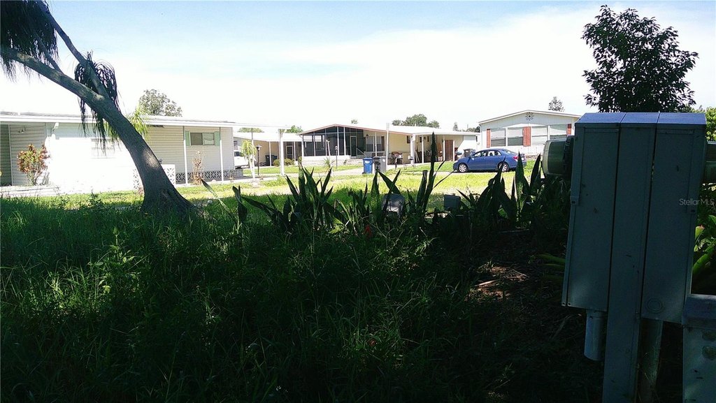 Picture 14