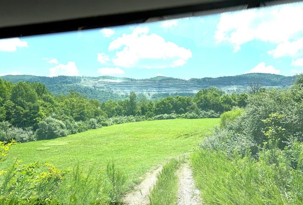Picture 8
