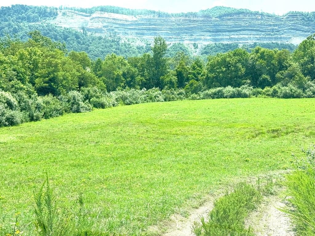 Picture 6