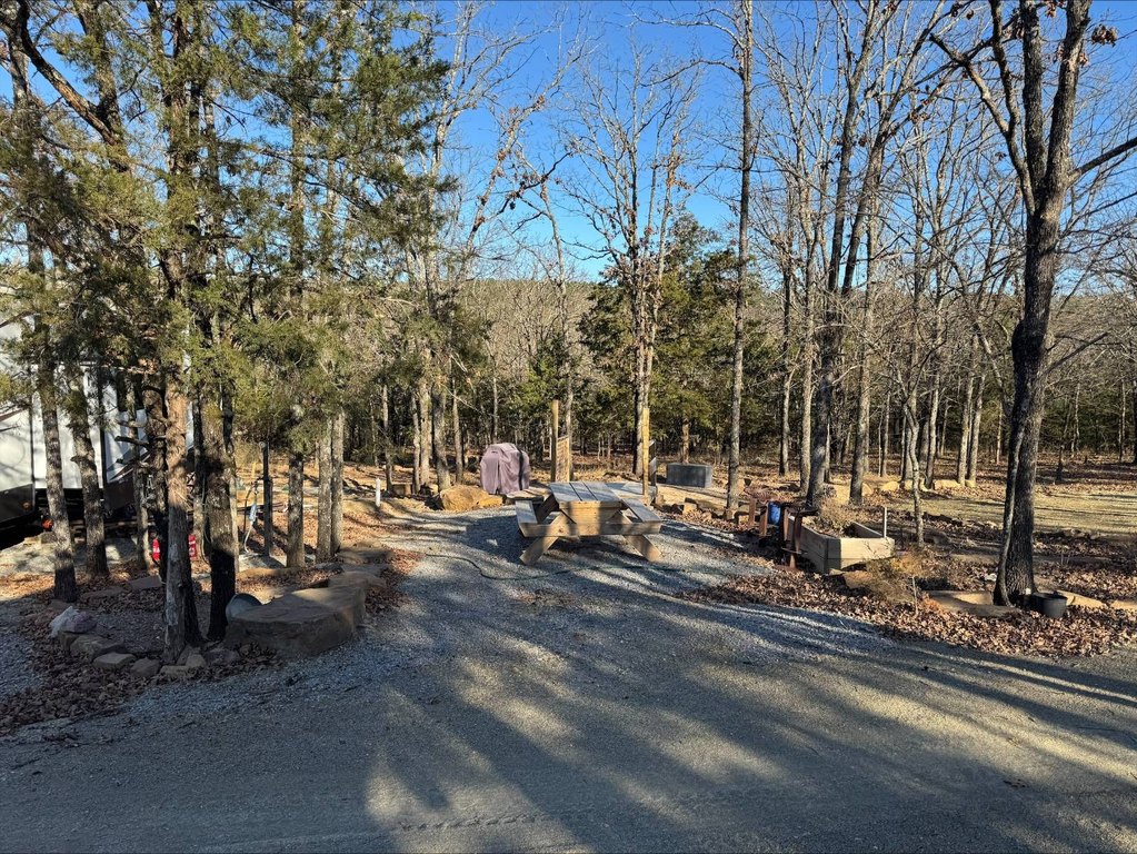 Picture 5