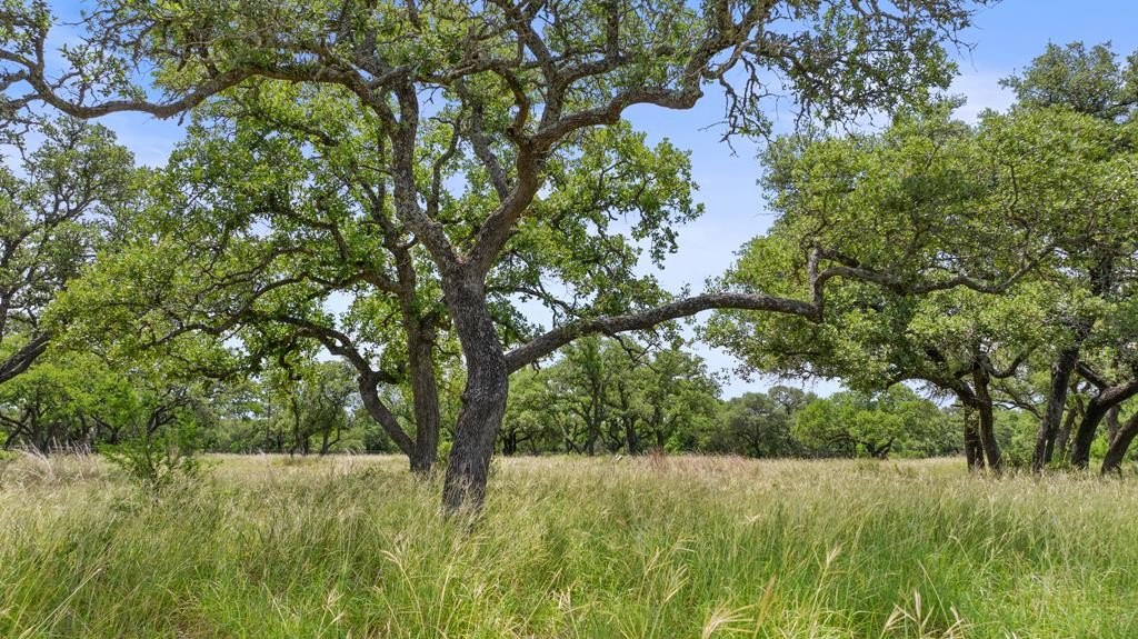 Texas Hill Country Land Parcel