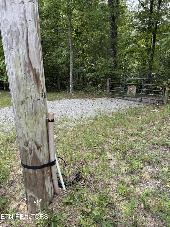 Picture 3