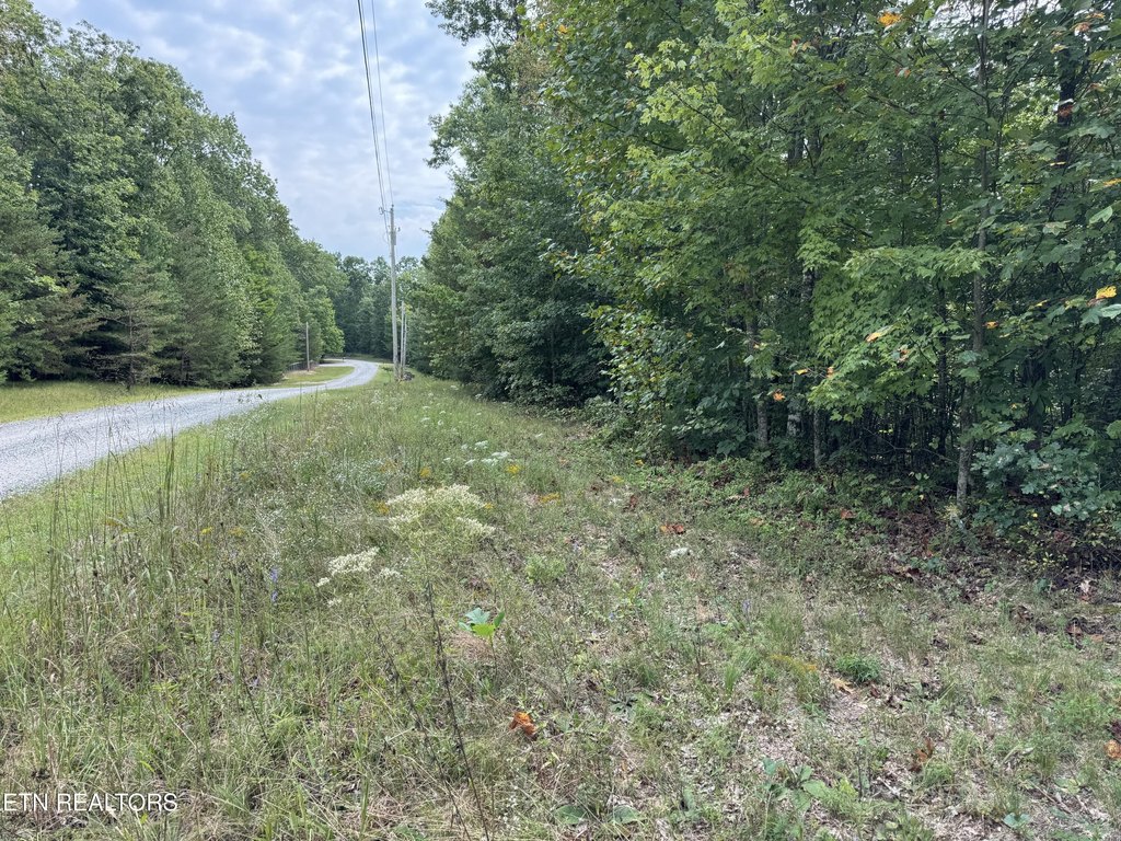 Picture 20