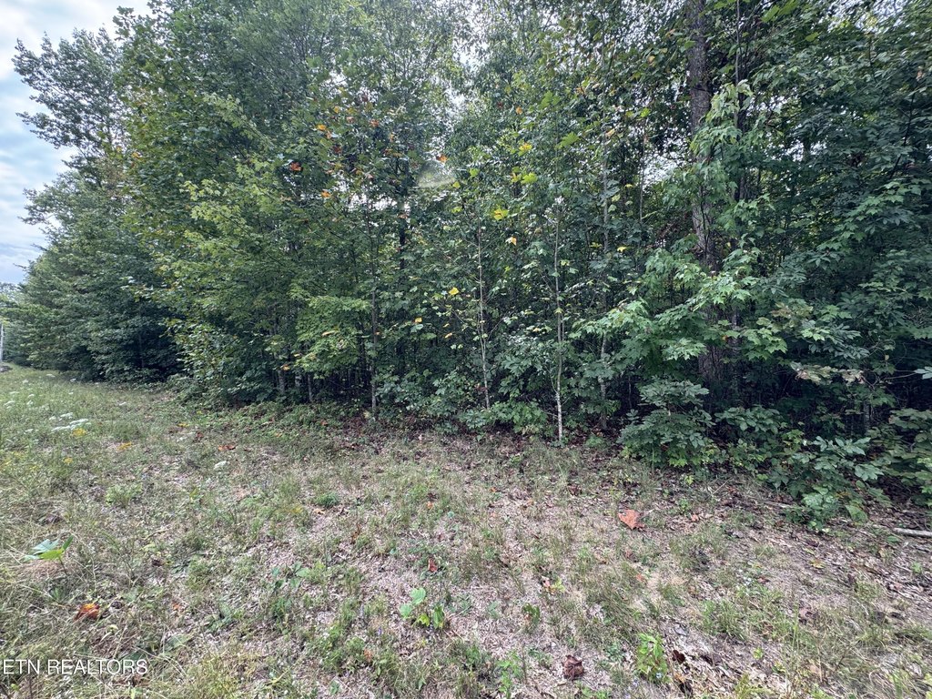 Picture 21