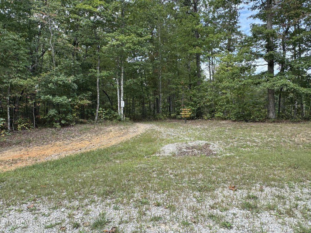 Picture 23