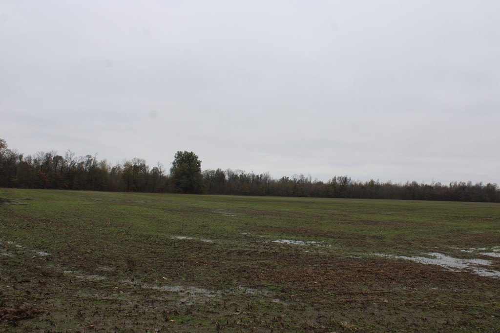 Picture 29