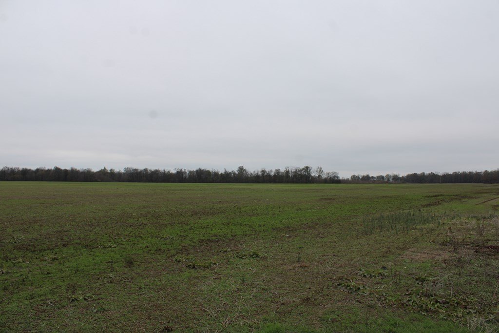 Picture 28