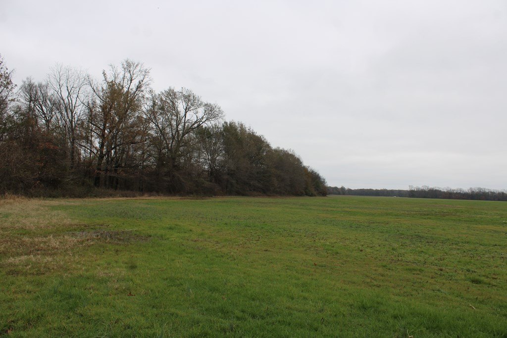 Picture 35