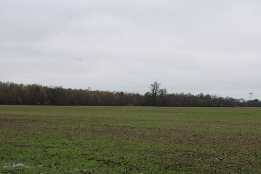 Picture 25
