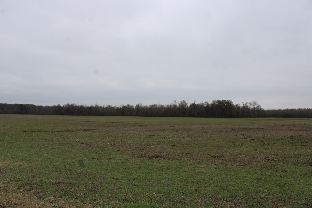 Picture 23
