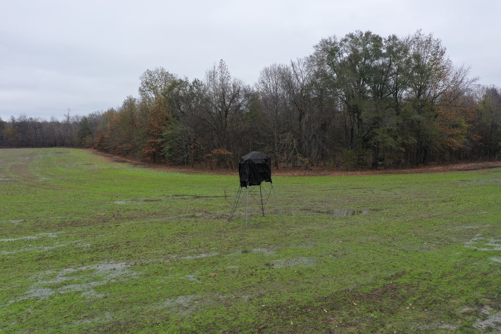 Picture 4