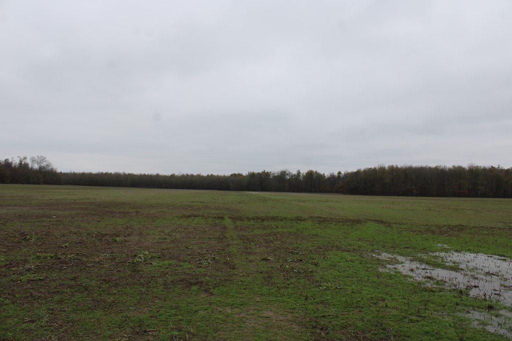 Picture 27