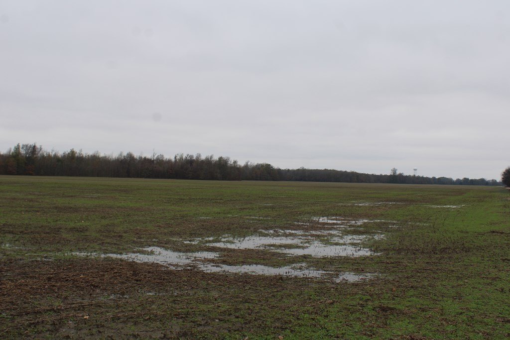 Picture 30