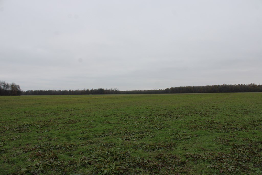 Picture 33