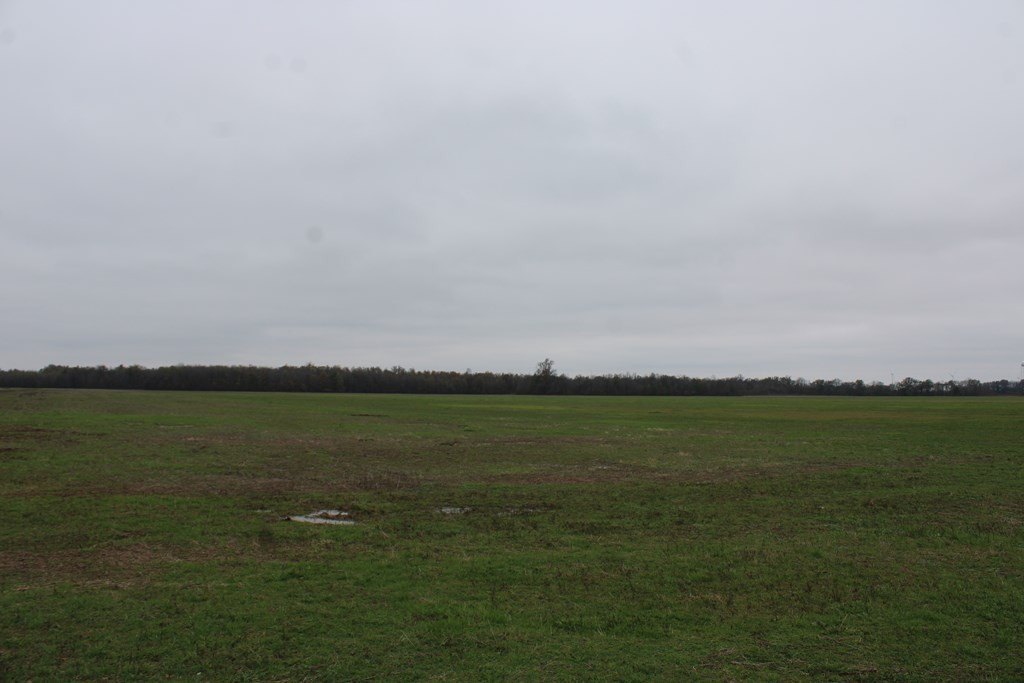 Picture 22