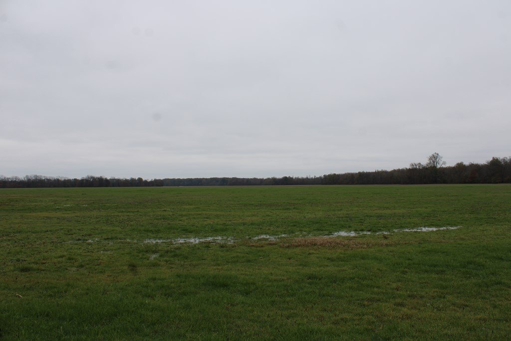 Picture 34