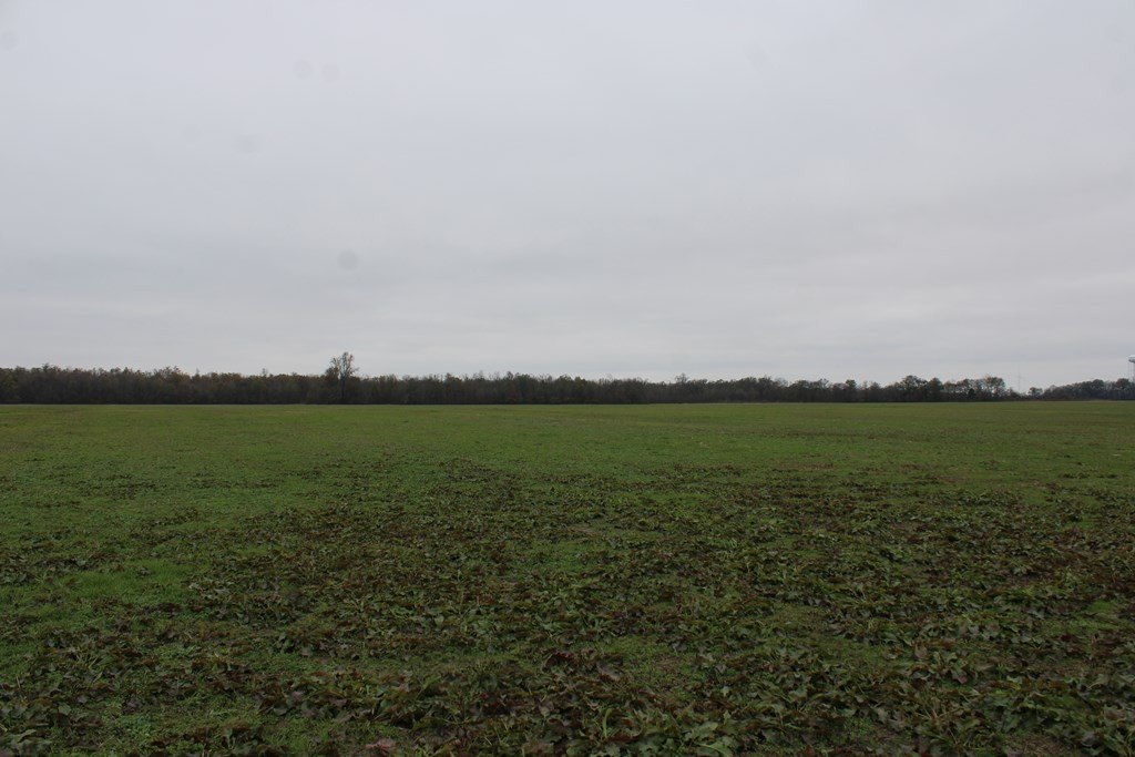 Picture 32