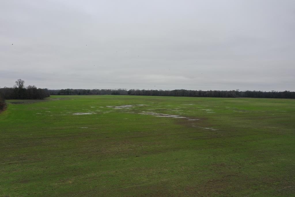 Productive Farmland and Hunting Land