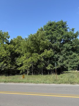 Vacant Land in Hillsdale, MI