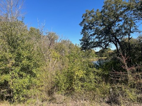 Land Near Richard Chambers Lake