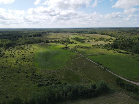 Hunting, Hayfield, and Livestock Land