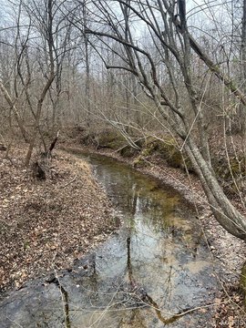 Wooded Hunting and Recreation Land