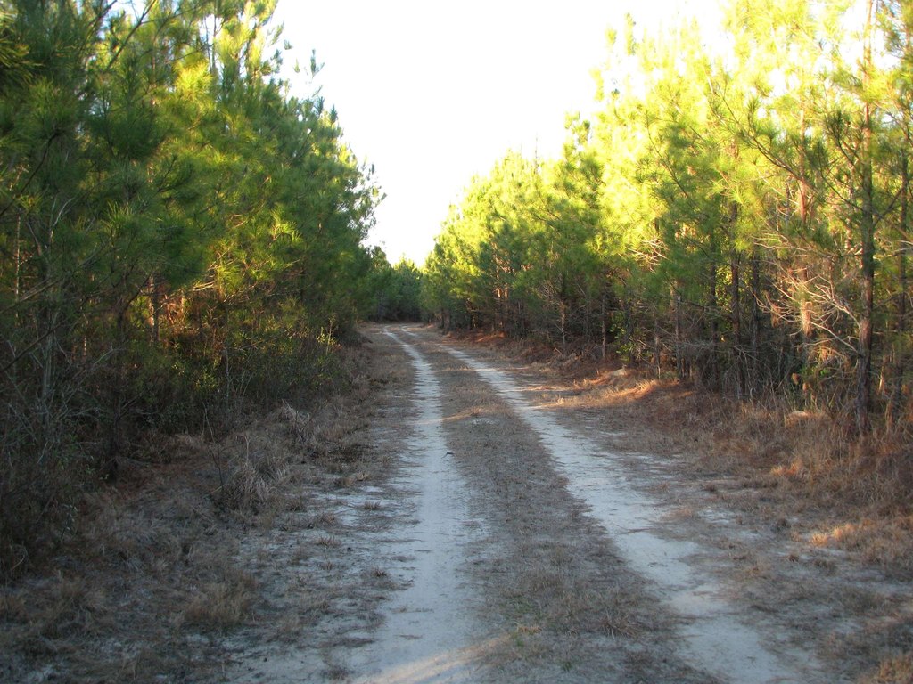 Picture 24